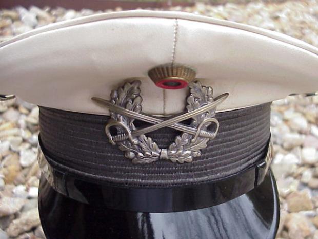 FJ cap insignia.JPG