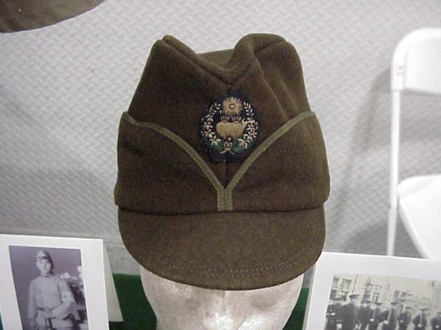 2011 display hat.JPG