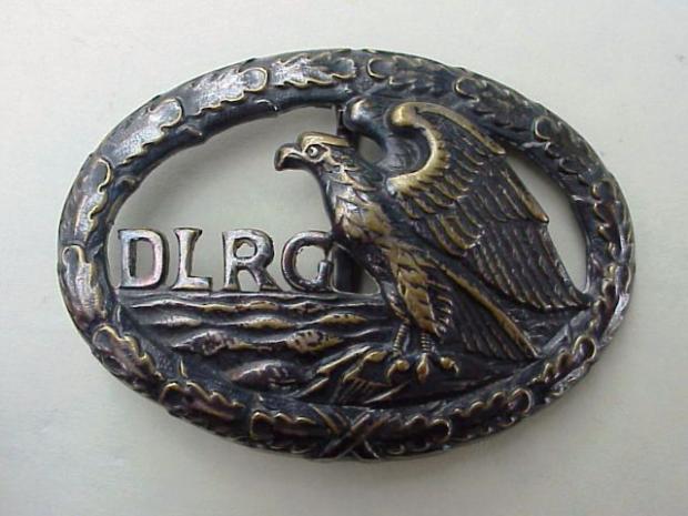 DLRG badge.JPG