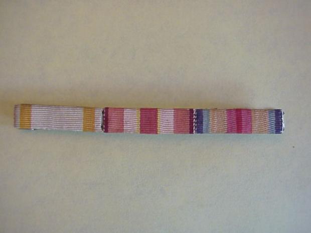 JPN ribbon bar.JPG