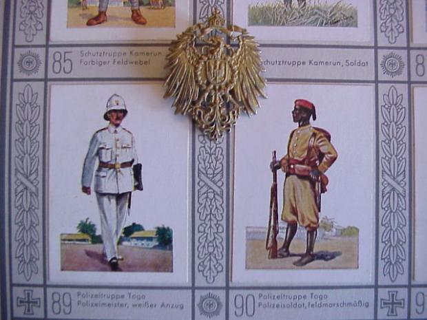 Pol Trupp Meister badge.JPG