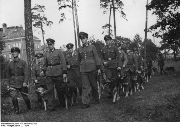 Polizei-Hundeschule_in_Tegel.jpg