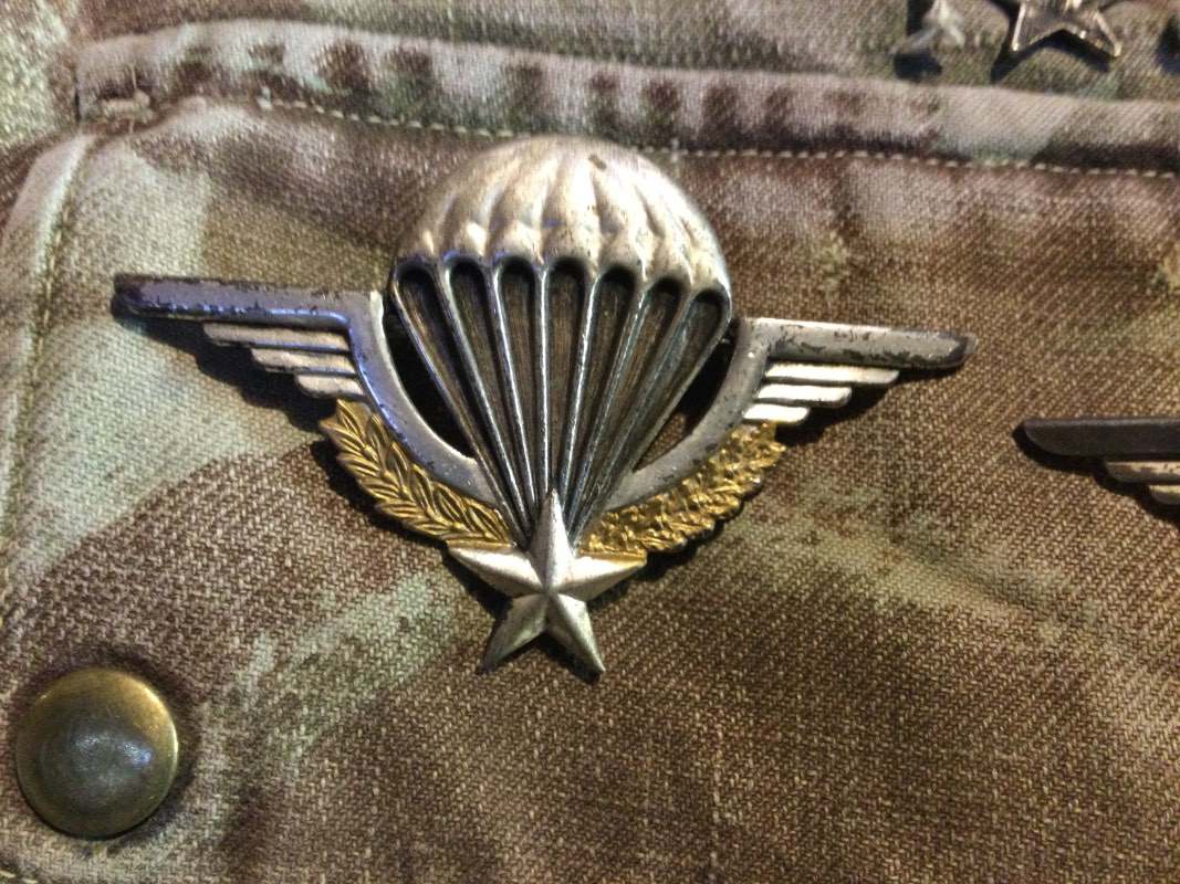 French Para Wings FR MEDALS, BADGES & INSIGNIA World Militaria Forum