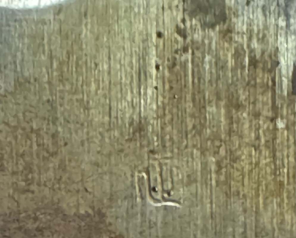 Japanese Sword Identification - CAN YOU IDENTIFY THIS? - World