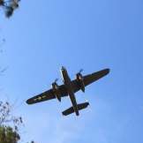 yellowhammer history